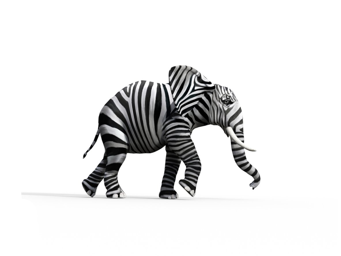 A black and white photograph of an elephant whose skin is covered in zebra stripes